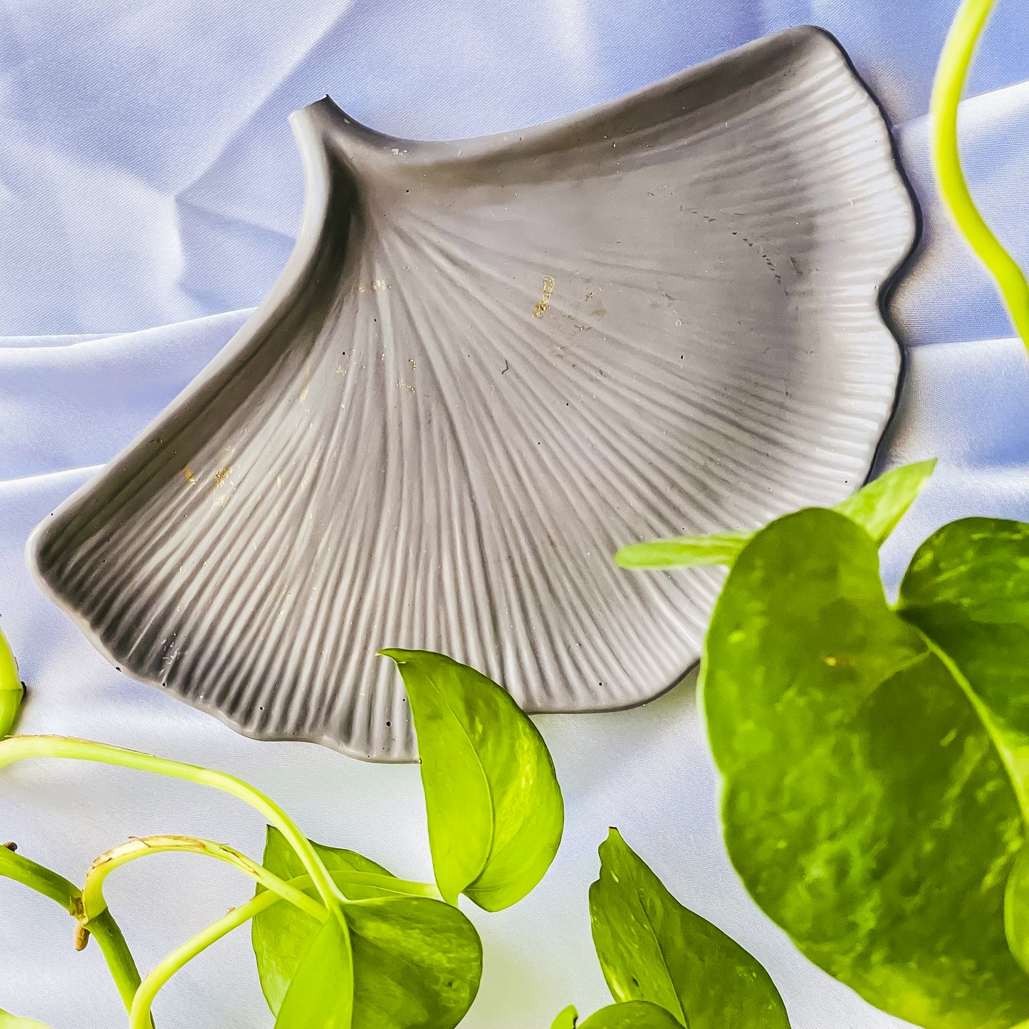 Ginkgo Leaf Tray