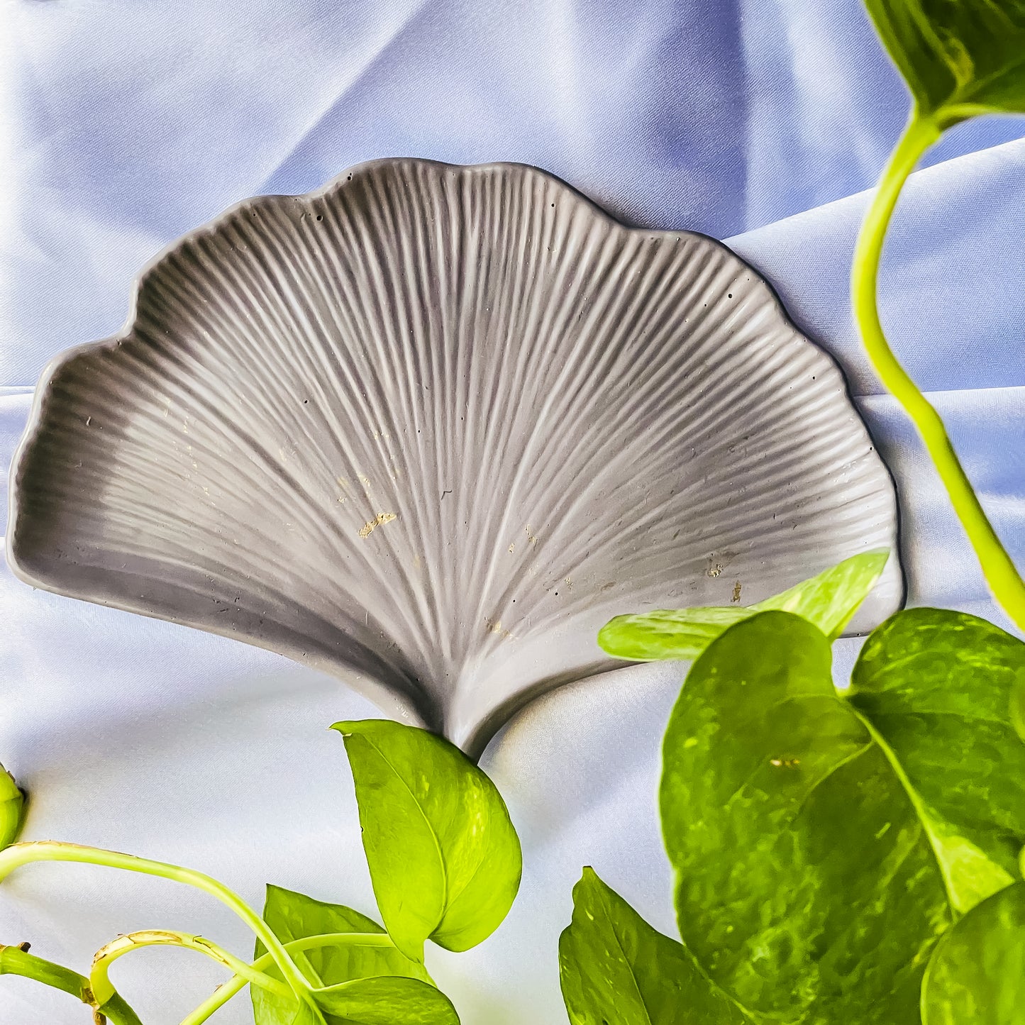 Ginkgo Leaf Tray