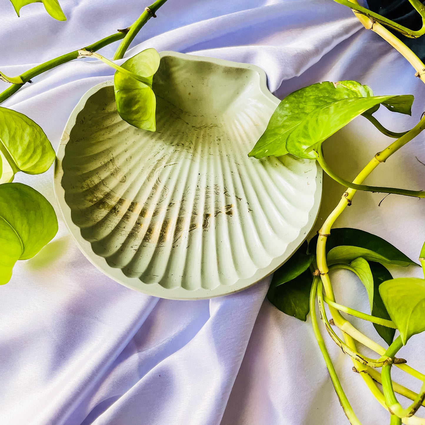 Mint Green Calm Shell Tray